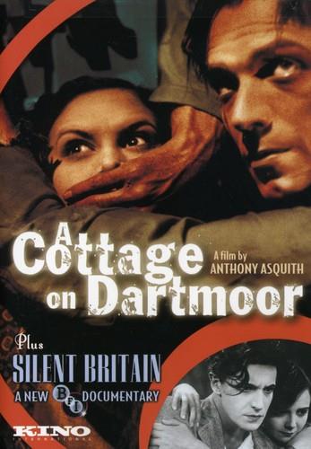 A Cottage on Dartmoor