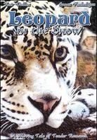 Leopard in the Snow