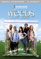 Weeds - Stagione 1 2 DVDs