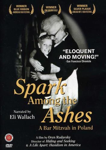Spark Among the Ashes