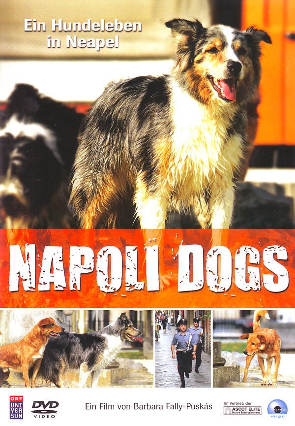 Napoli Dogs - Ein Hundeleben in Neapel