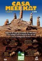 Casa Meerkat - Stagione 2 2 DVDs