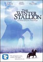 Winter Stallion - Horses of Europe