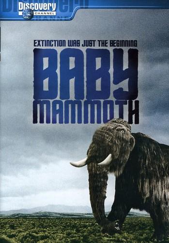 Baby Mammoth