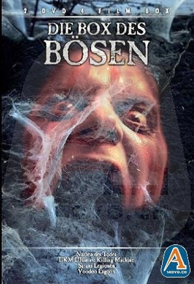 Die Box des Bösen - (4 Filme auf 2 DVDs)