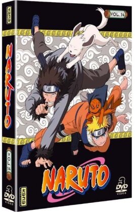 Naruto - Vol. 14 (3 DVD)
