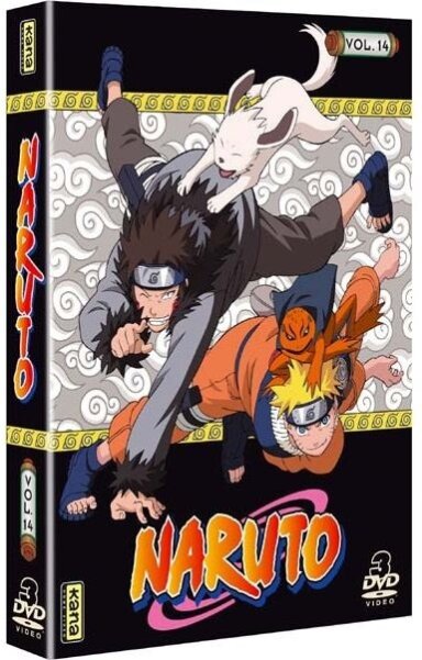 Naruto - Vol. 14 3 DVD