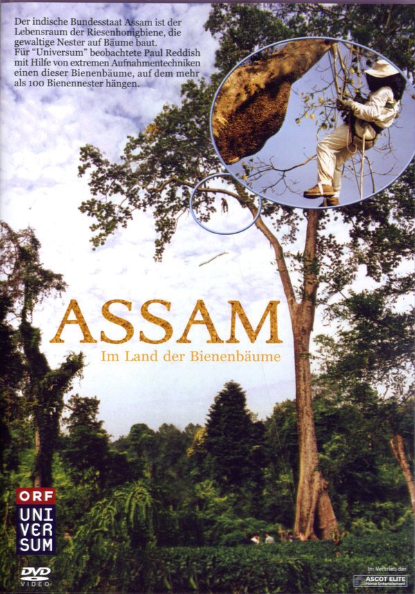 Assam - Im Land der Bienenbäume