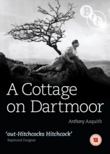 A Cottage on Dartmoor
