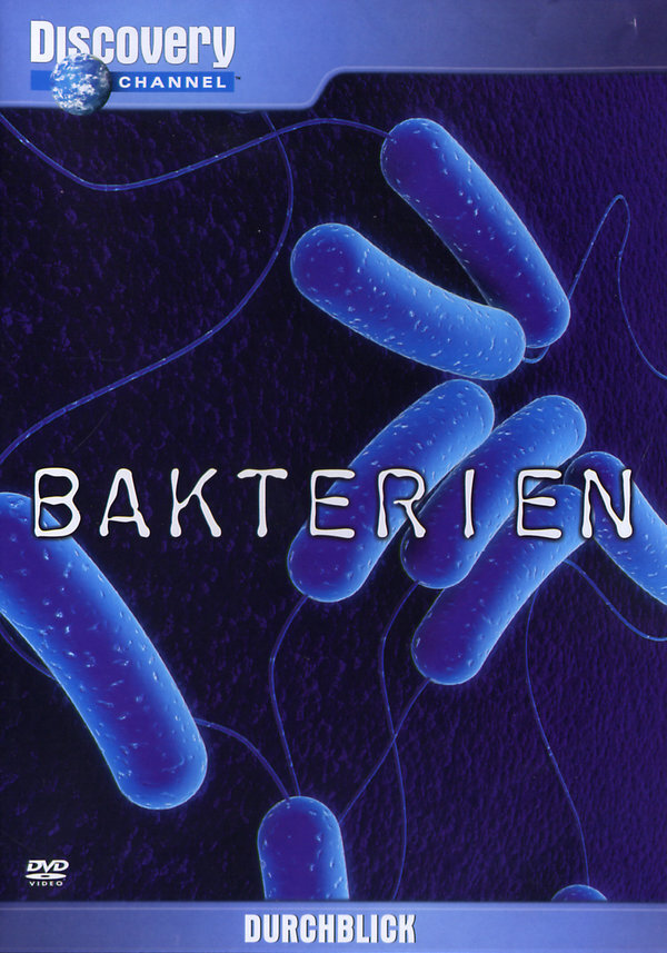 Bakterien - Discovery Durchblick