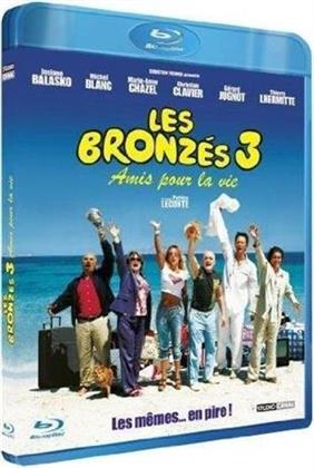Les Bronz&eacute;s 3 - Amis pour la vie (2005)