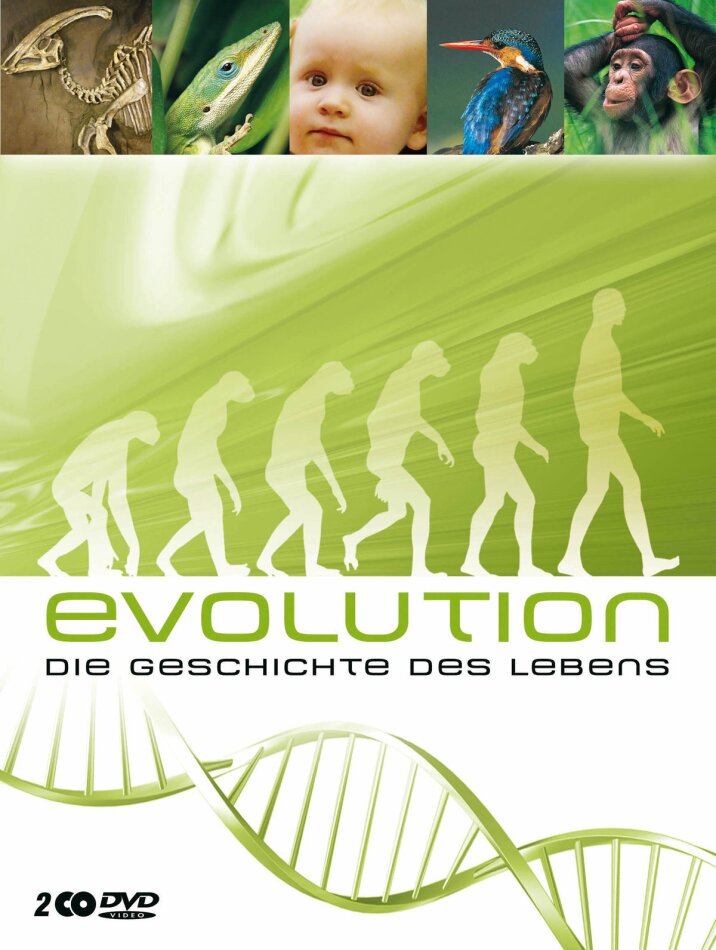 Evolution - Die Geschichte des Lebens 2 DVD