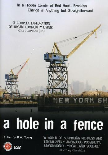 A Hole In A Fence