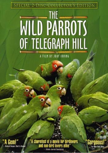The Wild Parrots of Telegraph Hill Collector's Edition, 2 DVDs