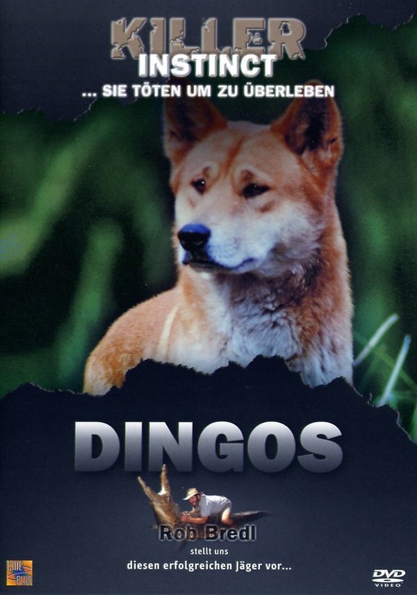 Killer Instinct - Dingos