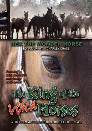 The King of the Wild Horses (Remastered)