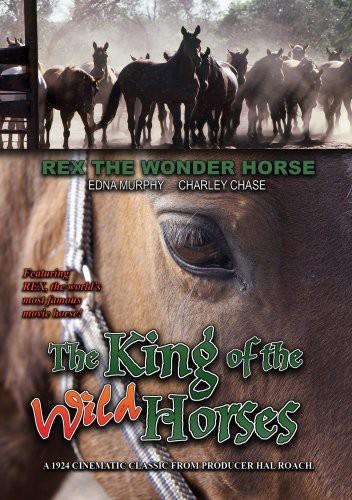 The King of the Wild Horses Version Remasterisée