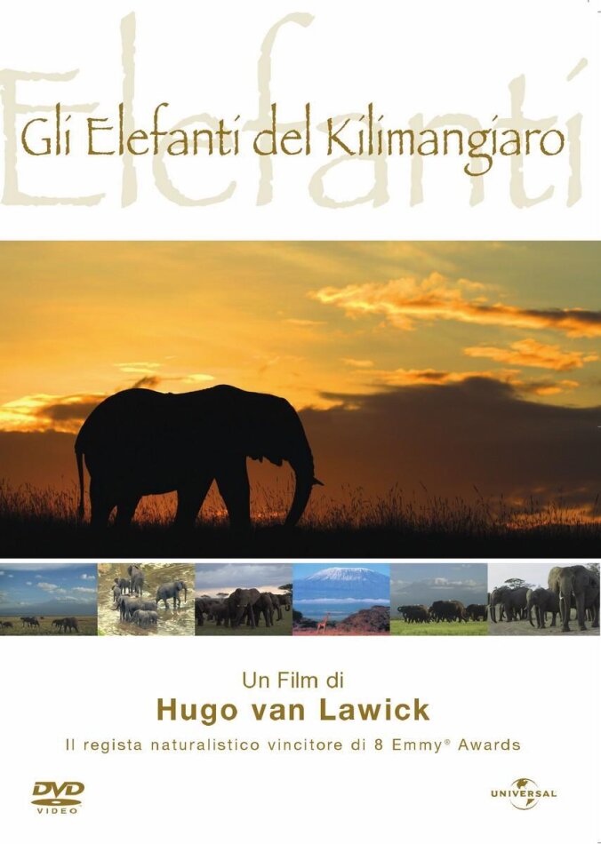 Gli elefanti del Kilimangiaro