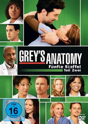 Grey's anatomy - Staffel 5.2 (4 DVDs)