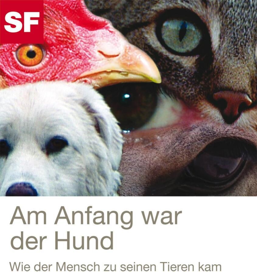 Am Anfang war der Hund