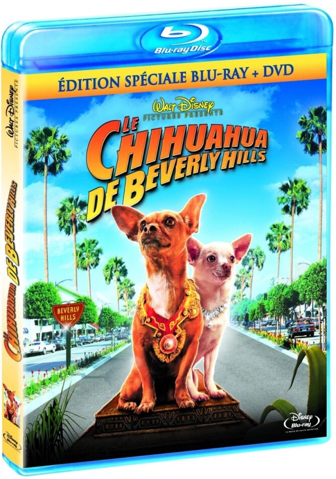 Le Chihuahua de Beverly Hills (2008) Blu-ray + DVD
