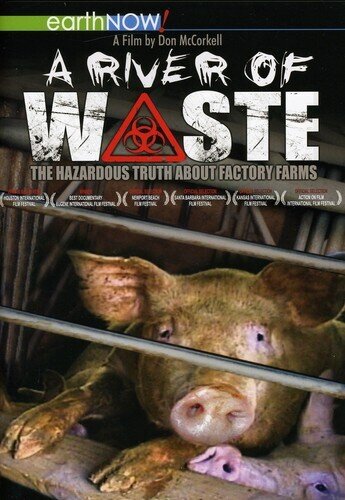 A river of waste - The hazardous truth about factory farms