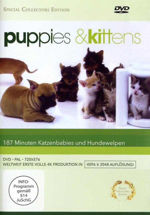Puppies & Kittens