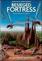 Besieged Fortress