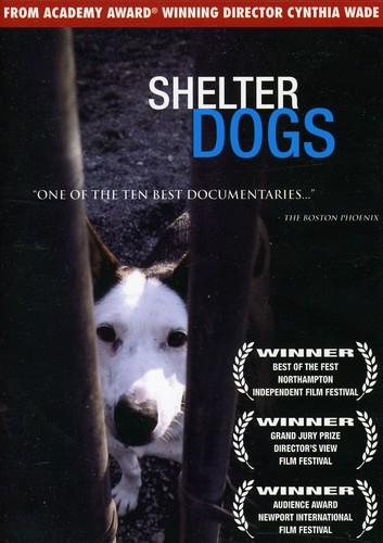 Shelter Dogs