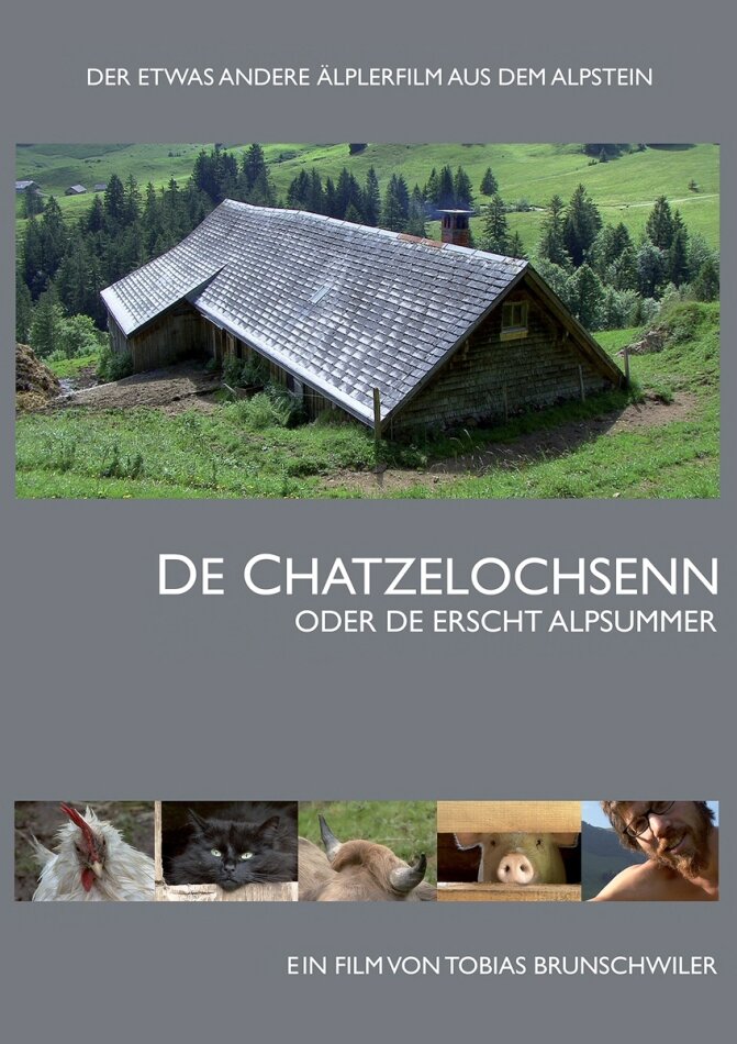 De Chatzelochsenn - oder de erscht Alpsummer