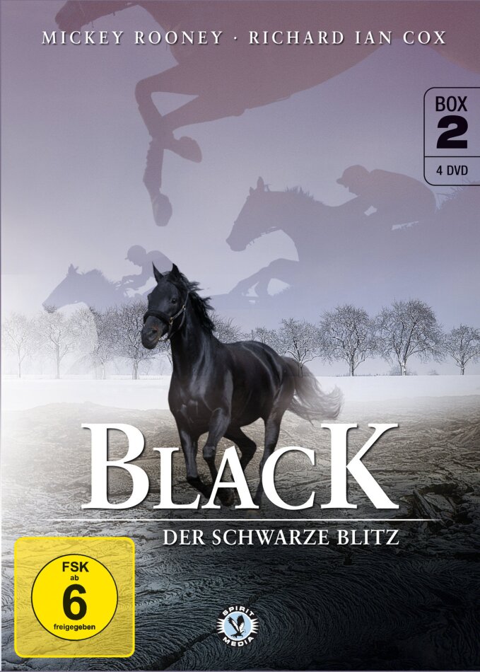 Black - Der schwarze Blitz - Box 2 4 DVD