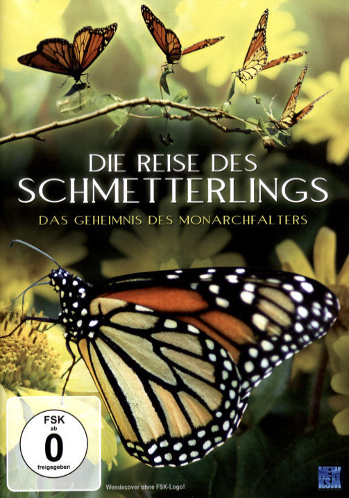 Die Reise des Schmetterlings