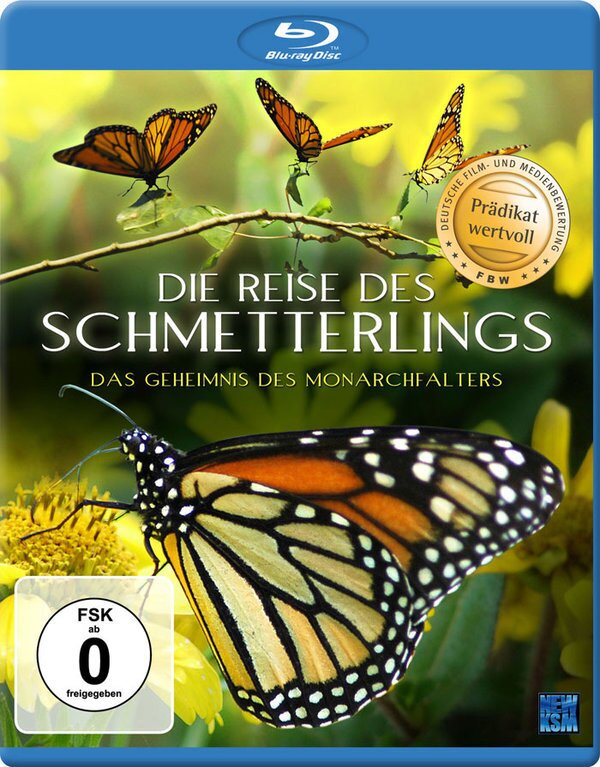 Die Reise des Schmetterlings