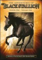 The Adventures of Black Stallion - Season 1.1