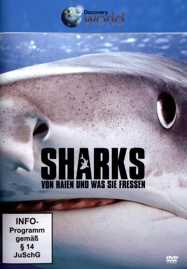 Sharks - Discovery World