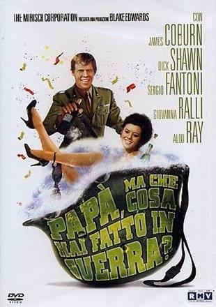 Papà, ma che cosa hai fatto in guerra? (1966)