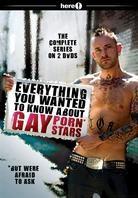 Everything you wanted to know about Gay Porn Stars - The complete Series (2 DVDs)
