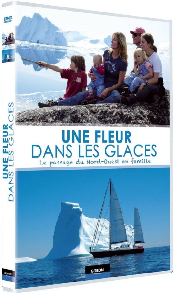 Une fleur dans les glaces