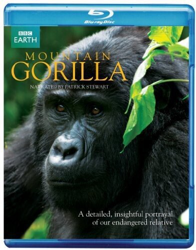 Mountain Gorillas BBC Earth