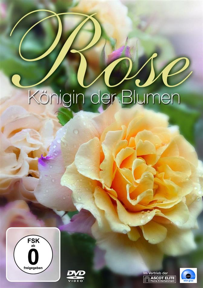 Rose - Königin der Blumen