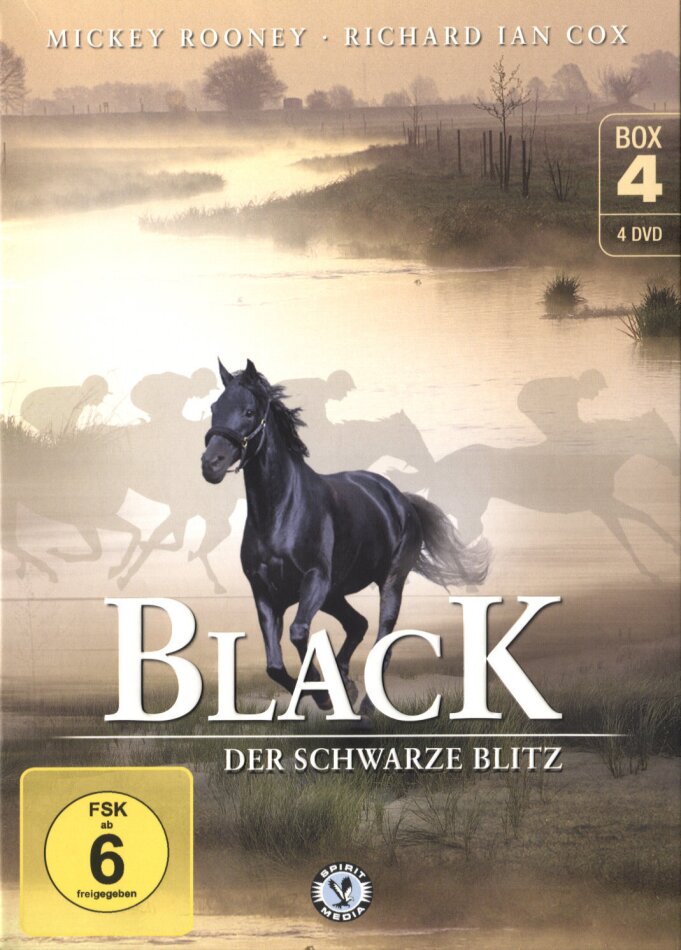 Black - Der schwarze Blitz - Box 4 4 DVDs