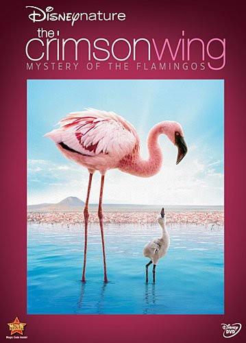 Disneynature: Crimson Wing - The Mystery of the Flamingo