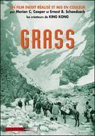 Grass