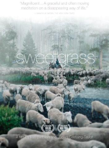 Sweetgrass