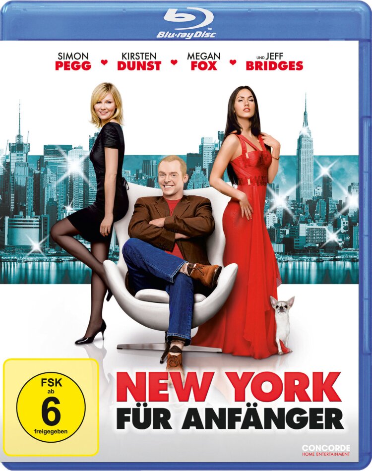 New York für Anfänger (2008)