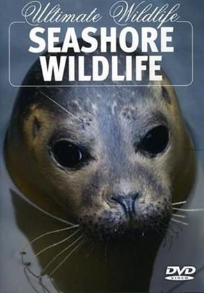 Ultimate Wildlife - Seashore Wildlife