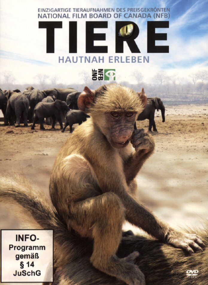 Tiere - Hautnah erleben 2 DVD