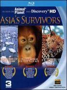 Asia's Survivors 3 Blu-ray