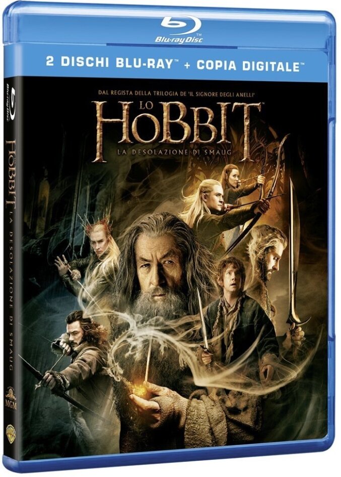 Lo Hobbit 2 - La desolazione di Smaug (2013) 2 Blu-ray