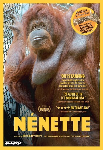 Nenette